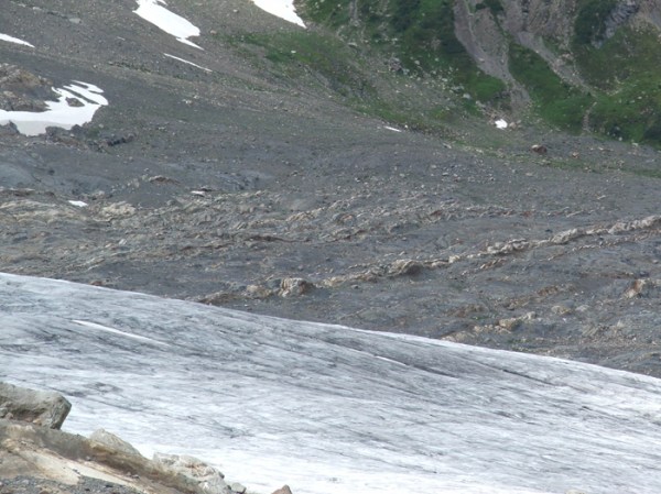 Isaac Formation, British Columbia (© 2008 clasticdetritus.com)