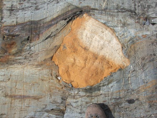 Clast of laminated carbonate in turbidite succession (© 2008 clasticdetritus.com)