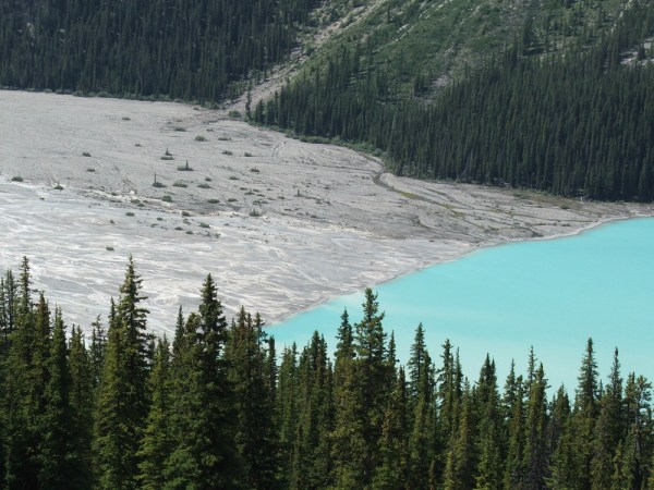 Peyto Lake delta, Alberta, Canada (© 2008 clasticdetritus.com)