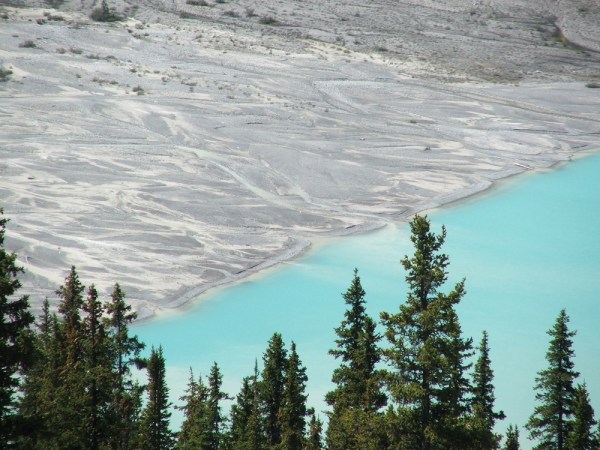 Peyto Lake delta, Alberta, Canada (© 2008 clasticdetritus.com)
