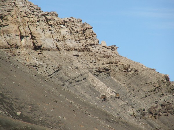 Cerro Escondido outcrop, southern Chile (c 2009 clastic detritus)