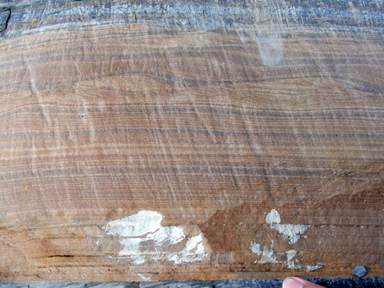 Isaac Formation, Windermere Supergroup, Canadian Rockies (© 2009 clastic detritus)
