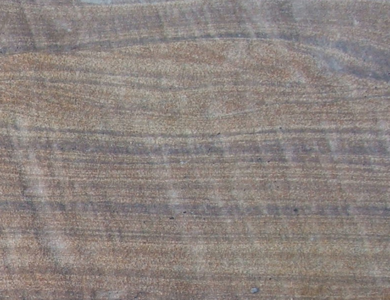 Isaac Formation, Windermere Supergroup, Canadian Rockies (© 2009 clastic detritus)