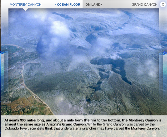 credit: http://channel.nationalgeographic.com/ (cllick on image to go to site)