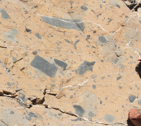 Permian debris flow deposit, near Death Valley, California (© 2009 clasticdetritus.com)