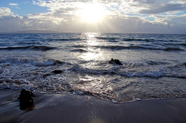 mauibeach